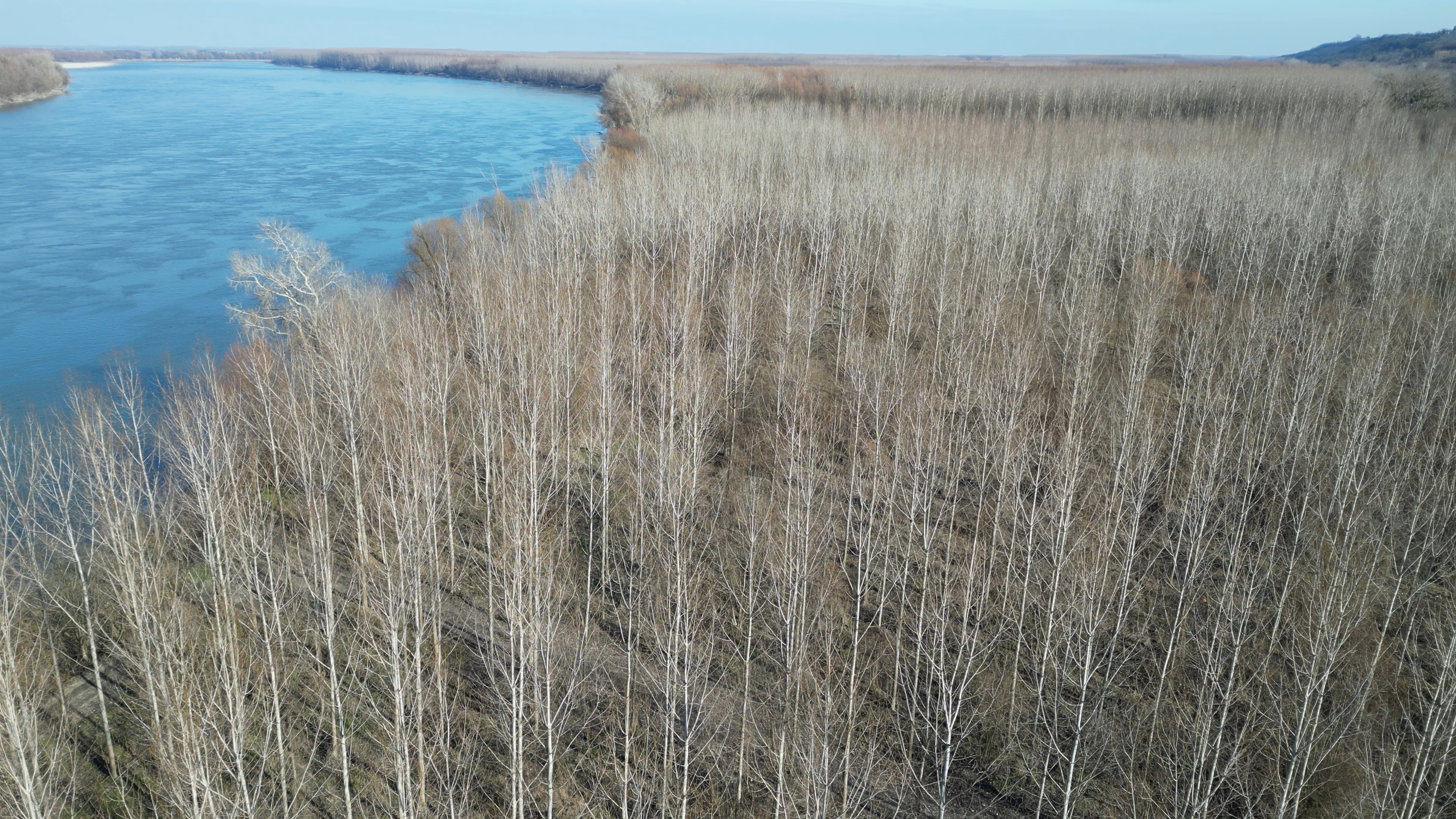 Pogled na Dunav i netaknutu prirodu